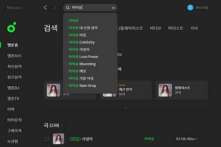 Melon Player Music Search