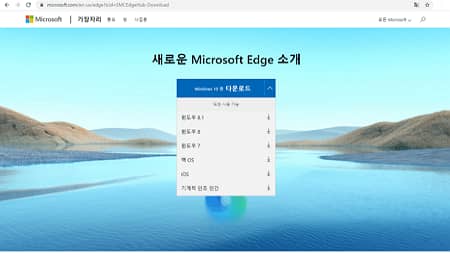 Microsoft Edge Web 画質