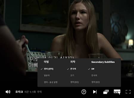 Netflix PC版字幕设置