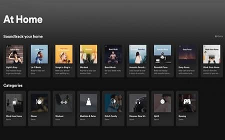 Bài hát ẩn Spotify