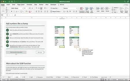 Compatibilidad con dispositivos Excel